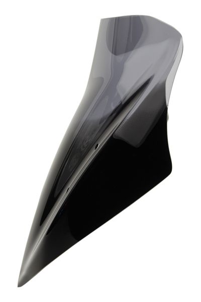 ROADSTER G 310 R - Racing windscreen "NRM" 2016-