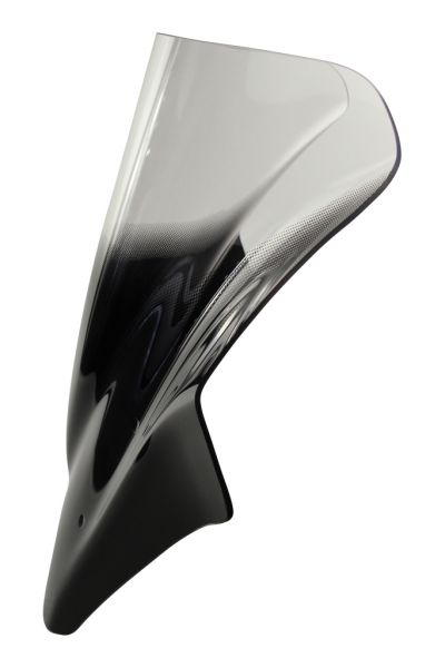 1290 SUPER DUKE R - Racing windscreen "NRM" 2017-2019