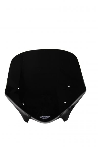 R 1200 R (F. HALTER WINDSH. SPORT) - Touring windshield "TM" 2015-2018