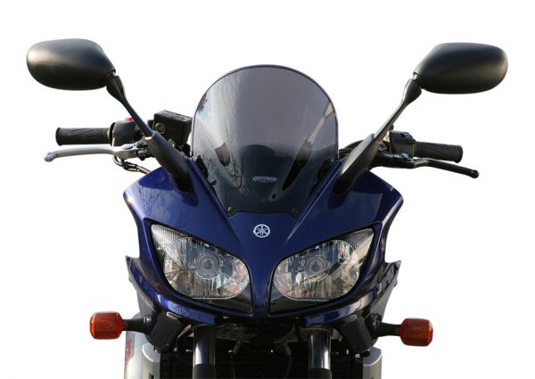 FZS 1000 FAZER - Racing windscreen "R" 2001-2005