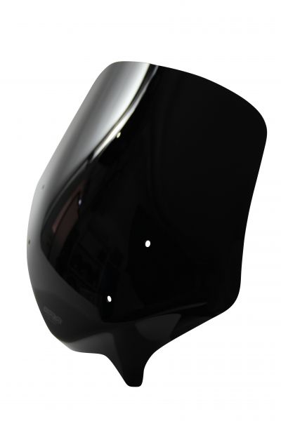 R 1200 R (F. HALTER WINDSH. SPORT) - Touring windshield "TM" 2015-2018