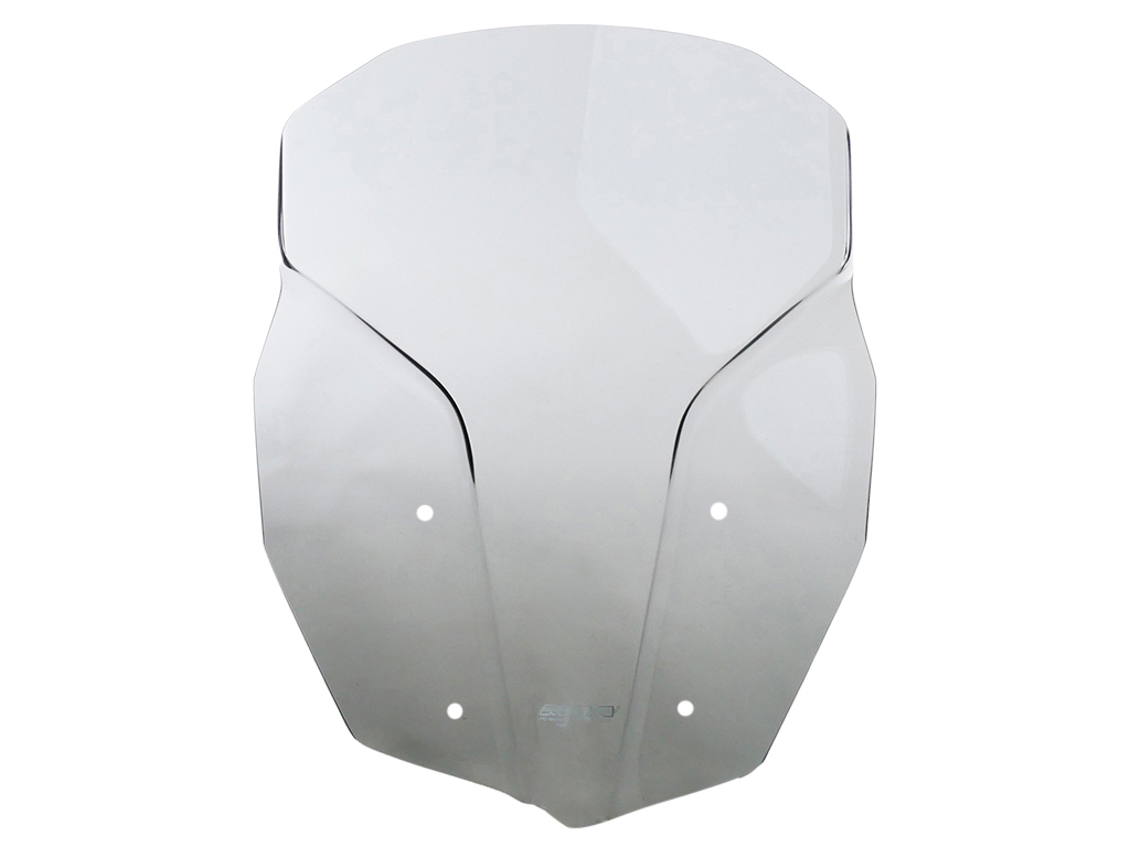 Puig Tourenscheibe Für BMW F 800 GS (08-17) - Verstellbarer Windschutz Rauchgrau