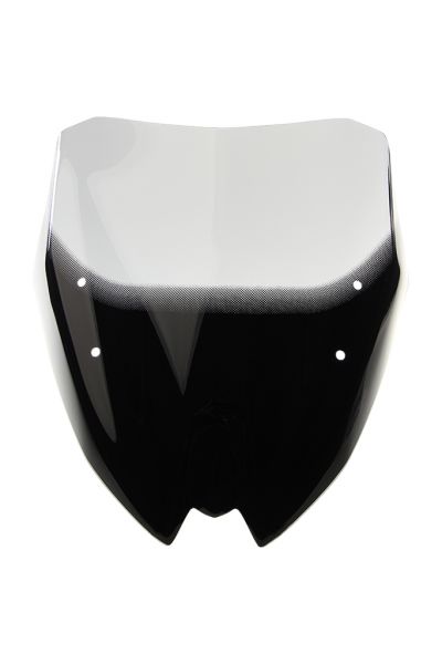 ROADSTER G 310 R - Racing windscreen 