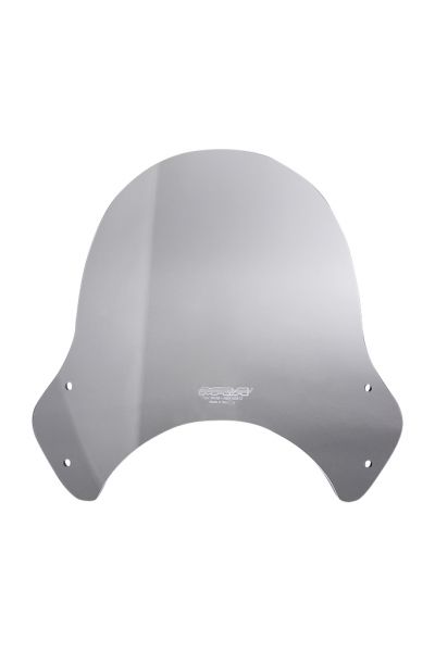 Z 900 RS - Touring windshield "NT" 2018-