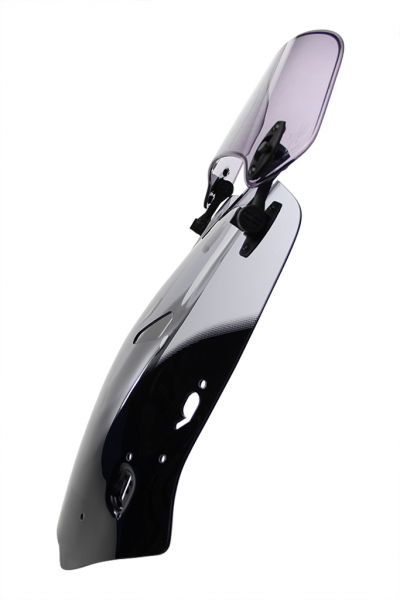 CBF 1000 - X-Creen-Touring "XCTM" 2006-