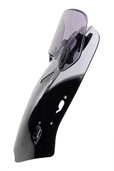 CBF 1000 - X-Creen-Touring "XCTM" 2006-