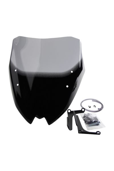 ROADSTER G 310 R - Racing windscreen "NRM" 2016-